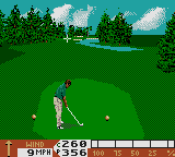 PGA Tour 96 Screenshot 1